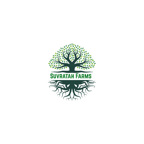Suvratah